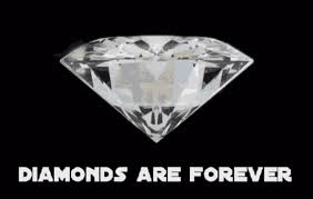 Diamonds are precious because they are beautiful, (almost) indestructible, perceived to be rare and easy to transport.